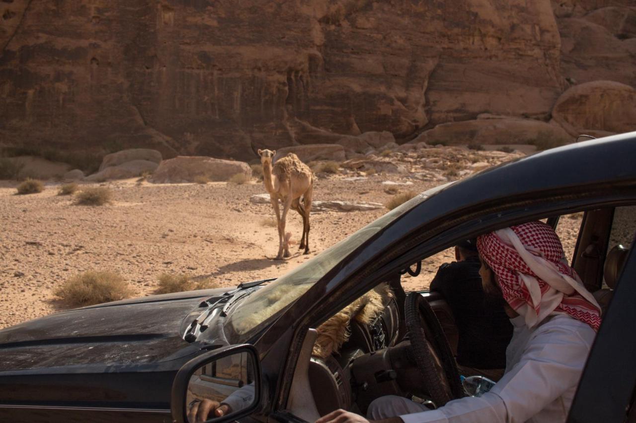 Wadi Rum Desert Home المظهر الخارجي الصورة